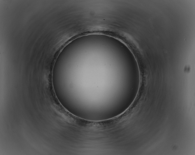 X0000093601217200710221541