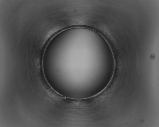 X0000093601218200710221541