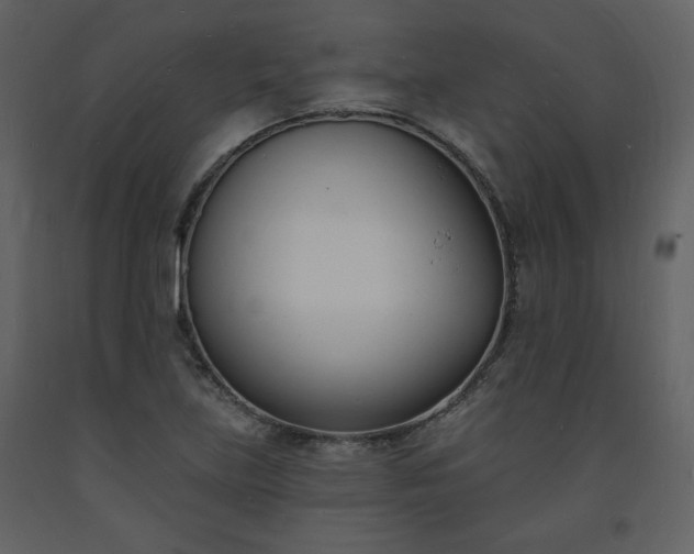 X0000093601219200710221541