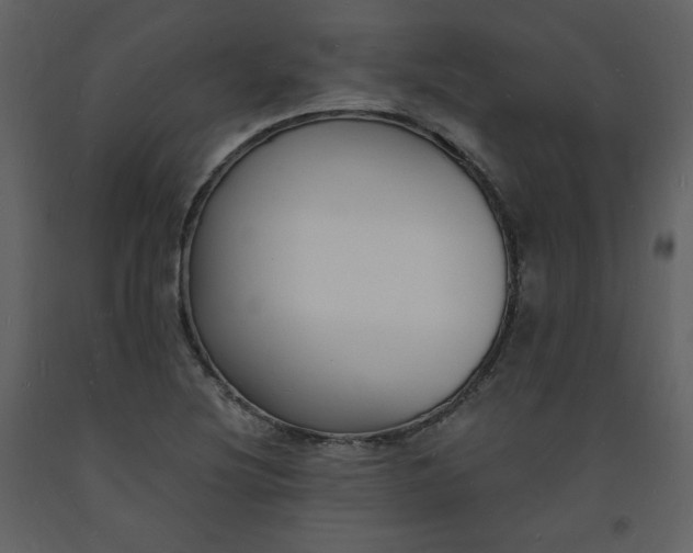 X0000093601220200710221541