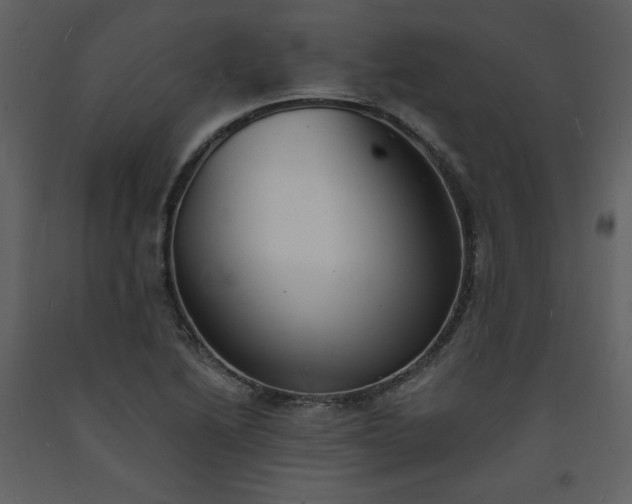 X0000093601222200710221541