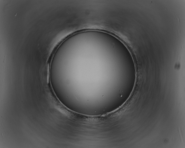 X0000093601223200710221541