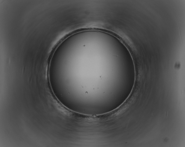 X0000093601224200710221541