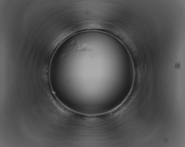 X0000093601225200710221541