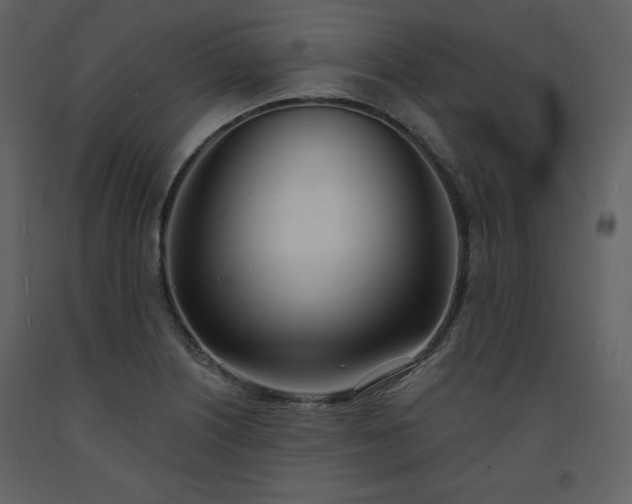 X0000093601226200710221541