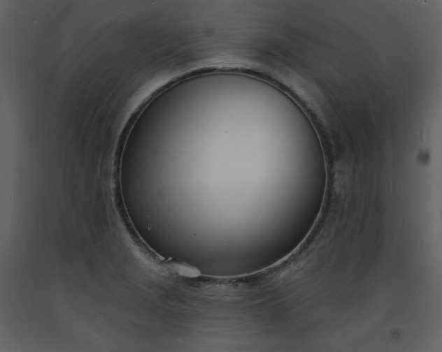 X0000093601229200710221541