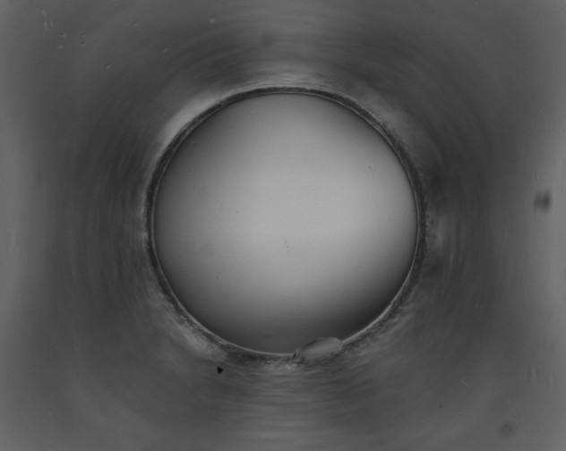 X0000093601230200710221541