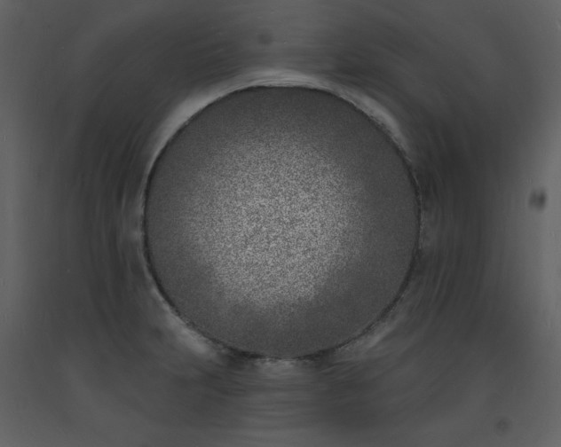 X0000093601231200710221541