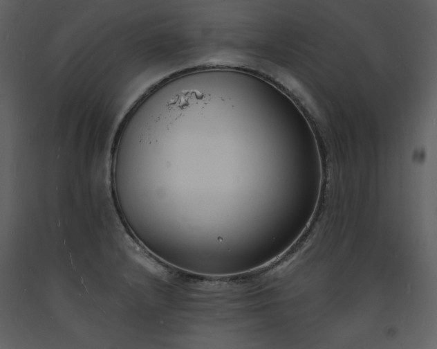 X0000093601232200710221541