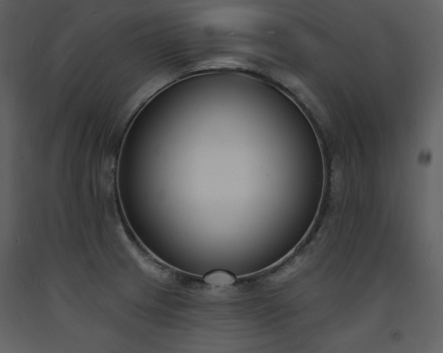 X0000093601233200710221541