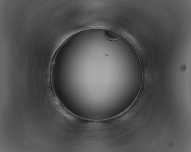 X0000093601236200710221541