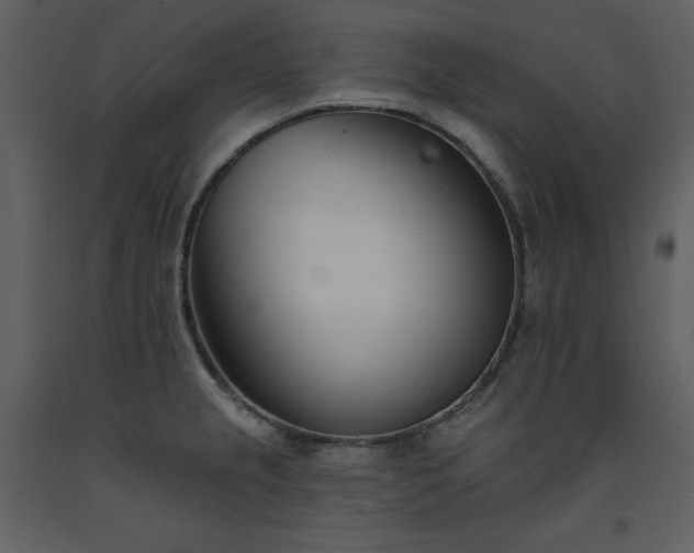 X0000093601237200710221541