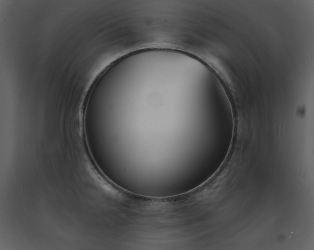 X0000093601238200710221541