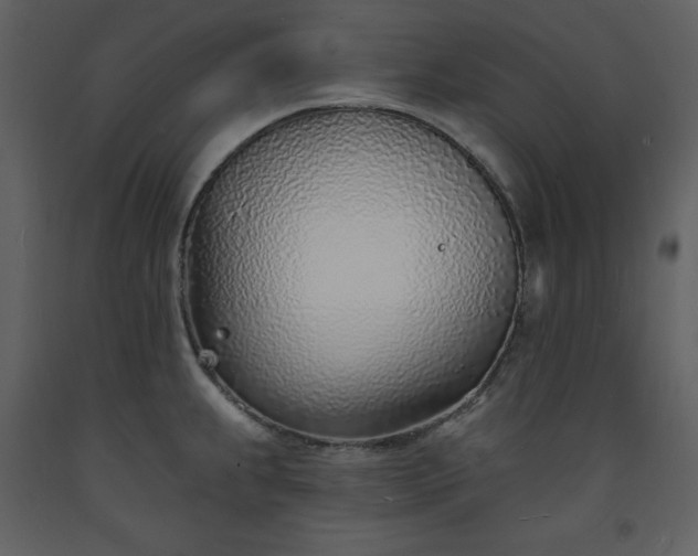 X0000093601239200710221541