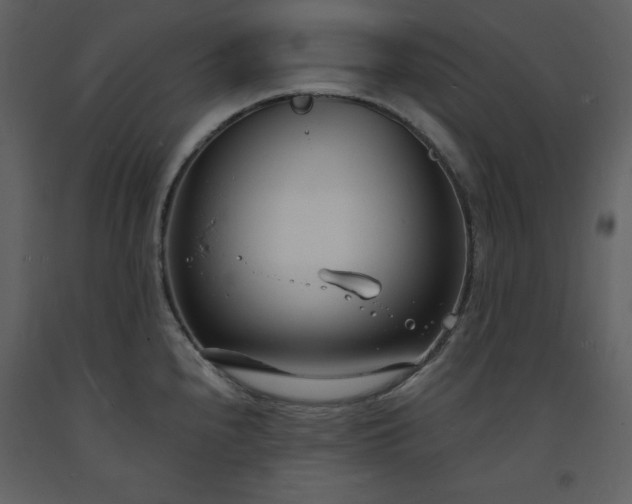 X0000093601240200710221541