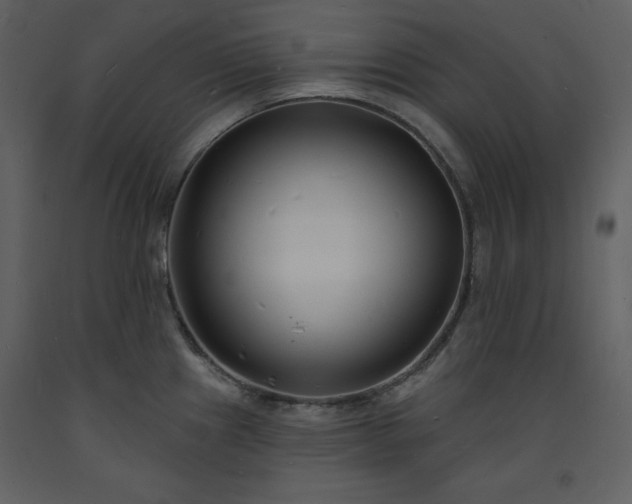 X0000093601241200710221541