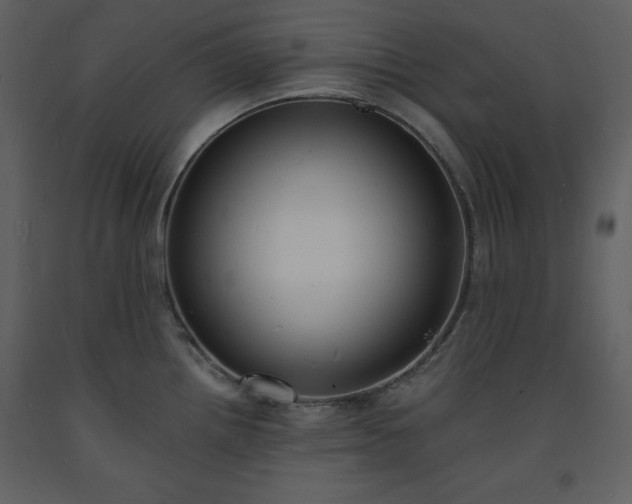 X0000093601242200710221541