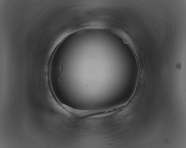 X0000093601243200710221541