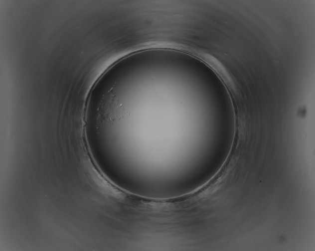 X0000093601244200710221541