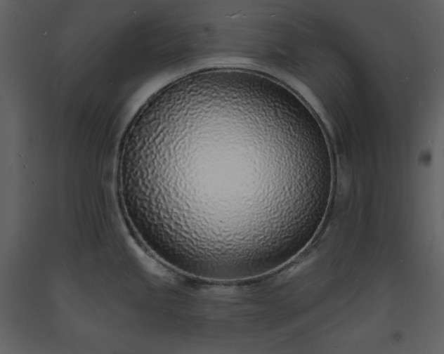 X0000093601245200710221541