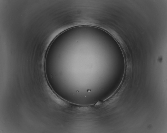 X0000093601246200710221541