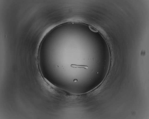 X0000093601248200710221541