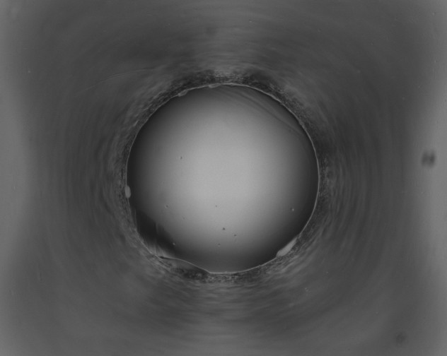 X0000093601249200710221540