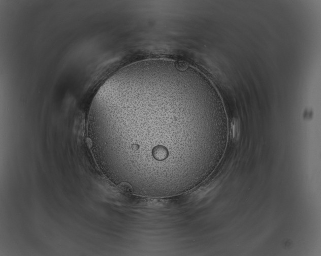 X0000093601251200710221540