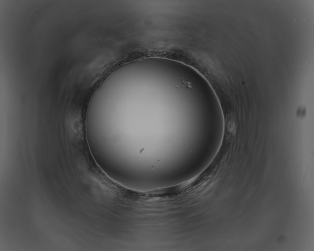 X0000093601252200710221540