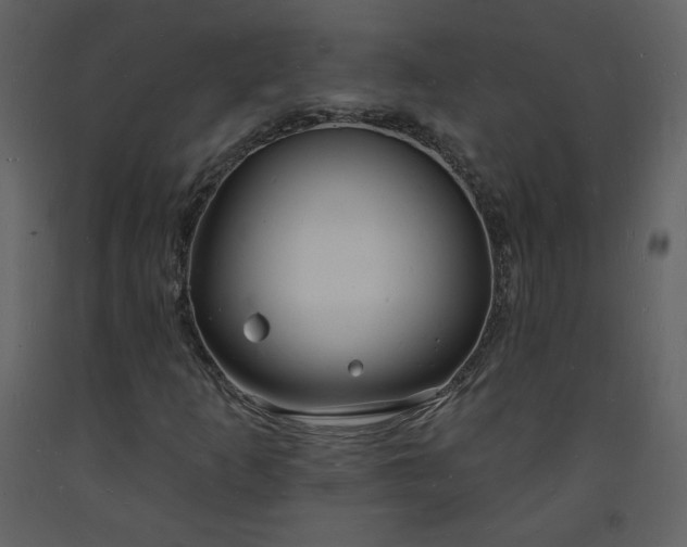 X0000093601253200710221540