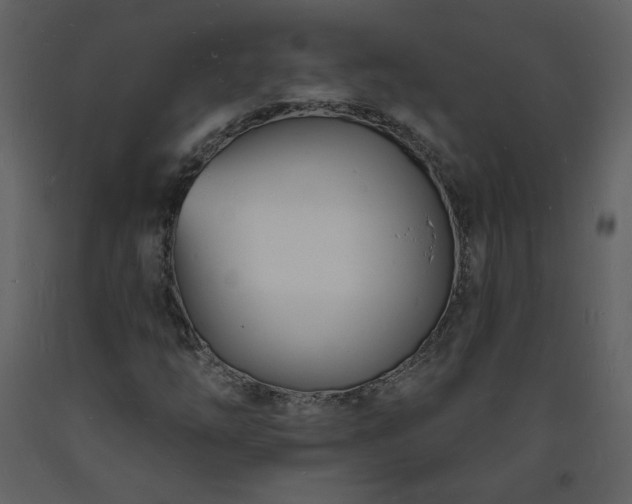 X0000093601254200710221540