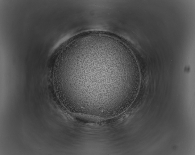 X0000093601255200710221540