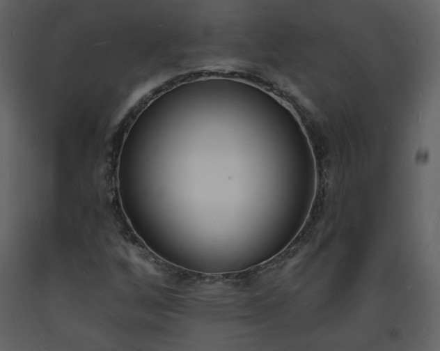 X0000093601256200710221540