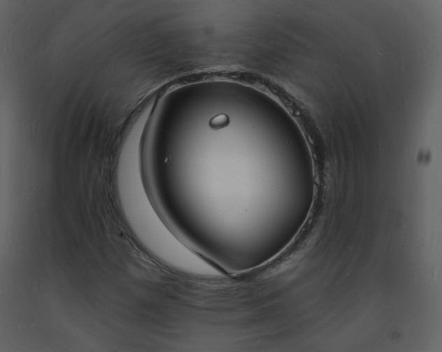 X0000093601257200710221540