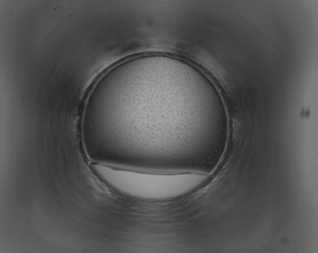 X0000093601260200710221540