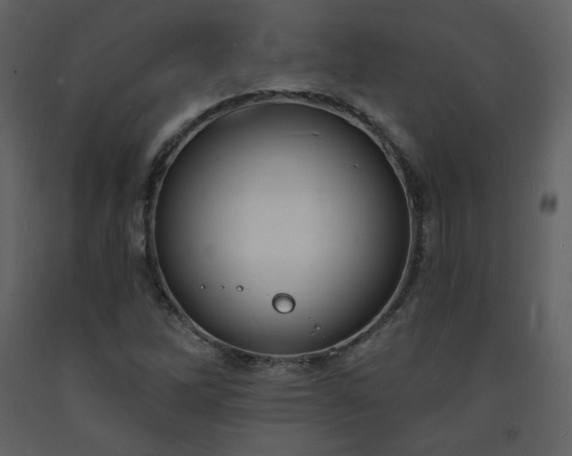 X0000093601262200710221540