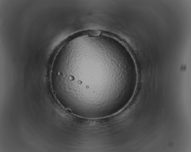 X0000093601263200710221540