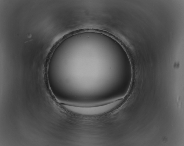 X0000093601264200710221540