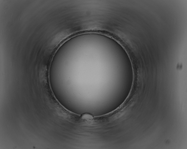 X0000093601265200710221540