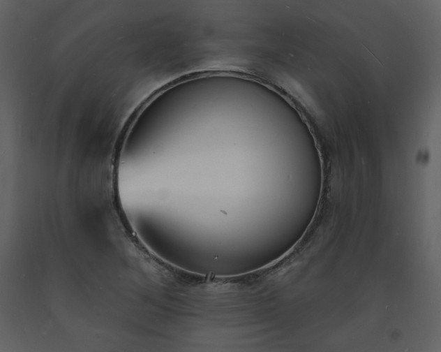 X0000093601268200710221540