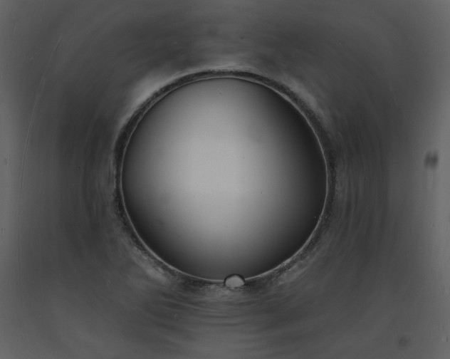 X0000093601270200710221540