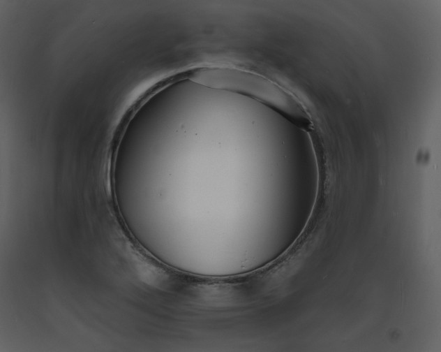 X0000093601272200710221540