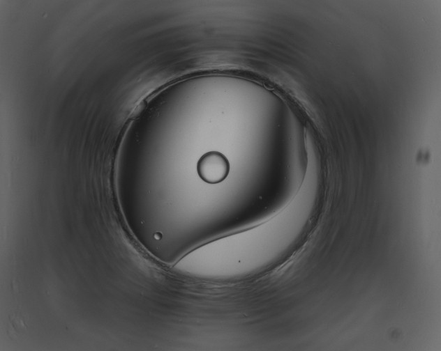 X0000093601273200710221540