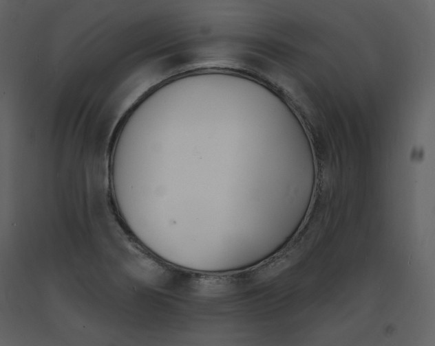 X0000093601274200710221540