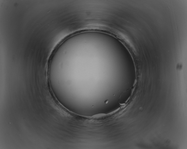 X0000093601275200710221540