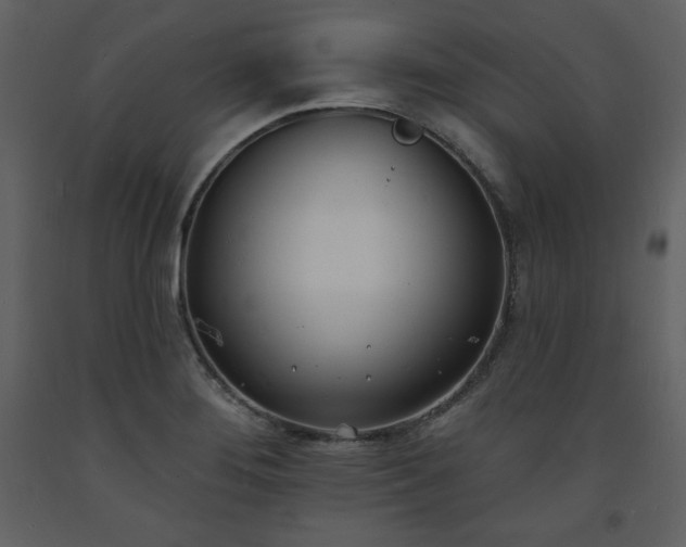 X0000093601276200710221540