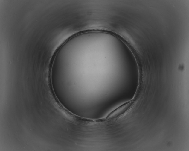 X0000093601277200710221540