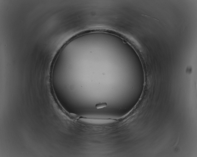 X0000093601279200710221540