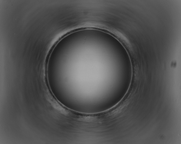 X0000093601280200710221540