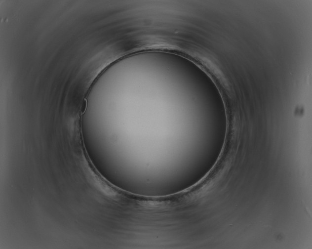 X0000093601281200710221540